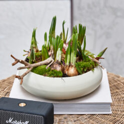 Alternative view of Clement Serving Bowl - RM